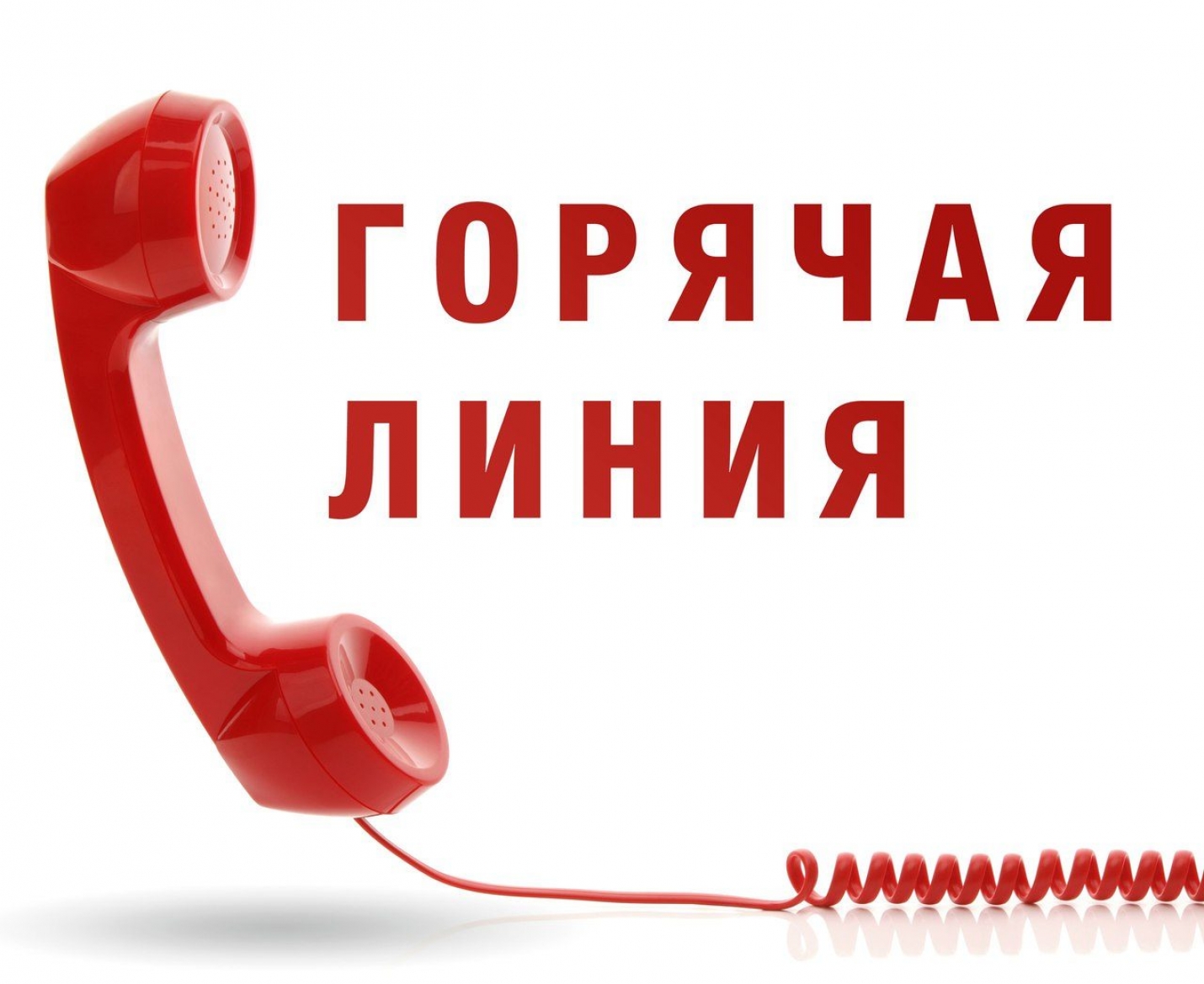 В Главном управлении образования Гагаузии создана &laquo;Горячая линия&raquo; для молодых педагогов