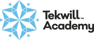 Tekwill Academy Kids запускает стипендиальные образовательные программы в  сфере IT для Гагаузии