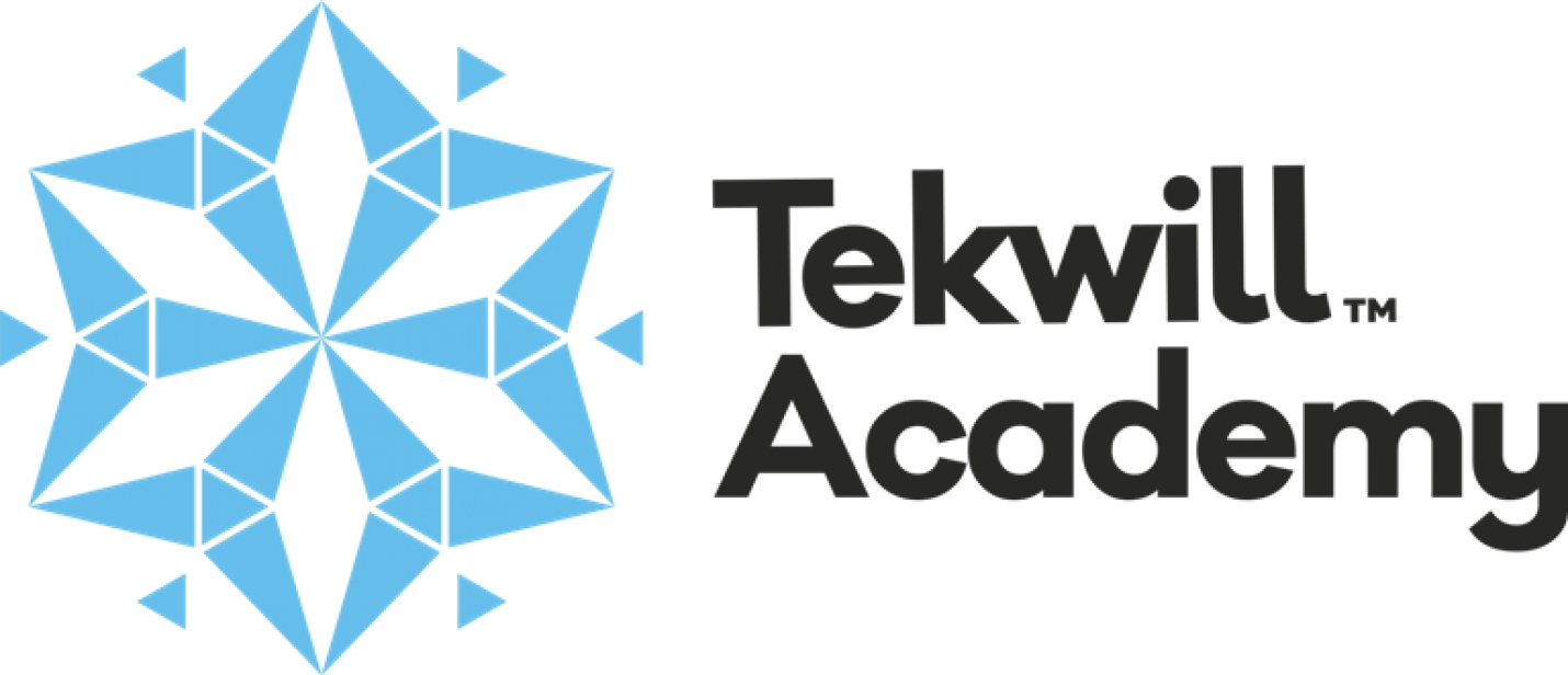 Tekwill Academy Kids запускает стипендиальные образовательные программы в  сфере IT для Гагаузии