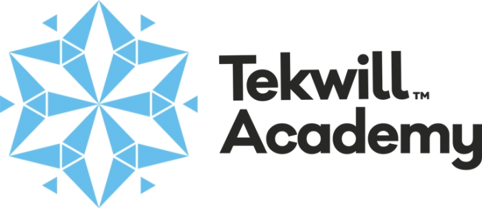 Tekwill Academy Kids запускает стипендиальные образовательные программы в  сфере IT для Гагаузии