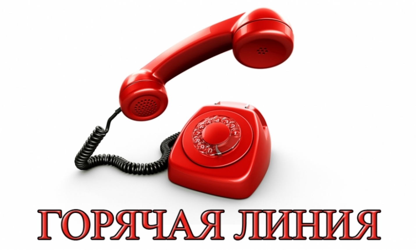 Главное управление образования открыло &laquo;Горячую линию&raquo; в целях оказания технической помощи по реализации дистанционного обучения