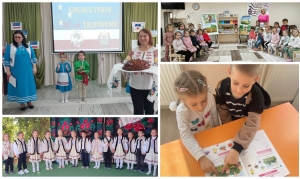 ПРОФЕССИОНАЛЬНОЕ РАЗВИТИЕ ВОСПИТАТЕЛЕЙ-ПРЕПОДАВАТЕЛЕЙ: путь к эффективной реализации Программы билингвального изучения румынского и гагаузского языков в детских садах